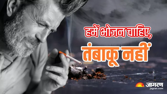 World No Tobacco Day 2023 (जागरण ग्राफिक्स)