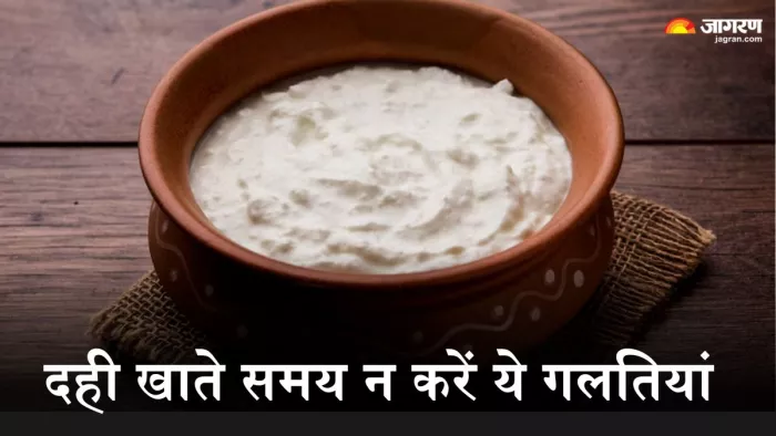 दही खाते समय न करें ये गलतियां (Picture Credit- Freepik)