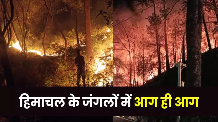 हिमाचल के शिमला, सोलन, बिलासपुर और कसौली के जंगलों में लगी भीषण आग
