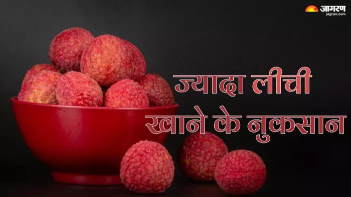 हानिकारक हो सकती है जरूरत से ज्यादा लीची (Picture Credit- Freepik)