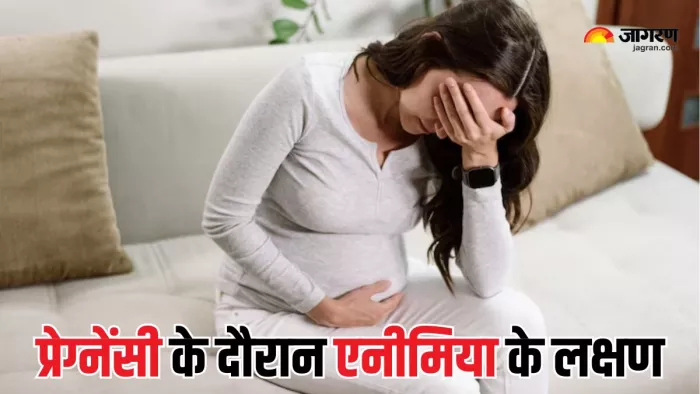 Pregnancy Anemia: प्रेग्नेंसी में क्यों बढ़ जाता है एनीमिया का रिस्क? (Picture Courtesy: Freepik)
