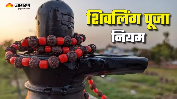 Shivling Puja Rules in hindi (Picture Credit: Freepik)