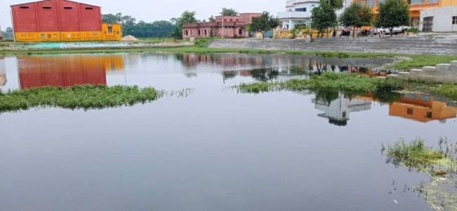 News Article Hero Image