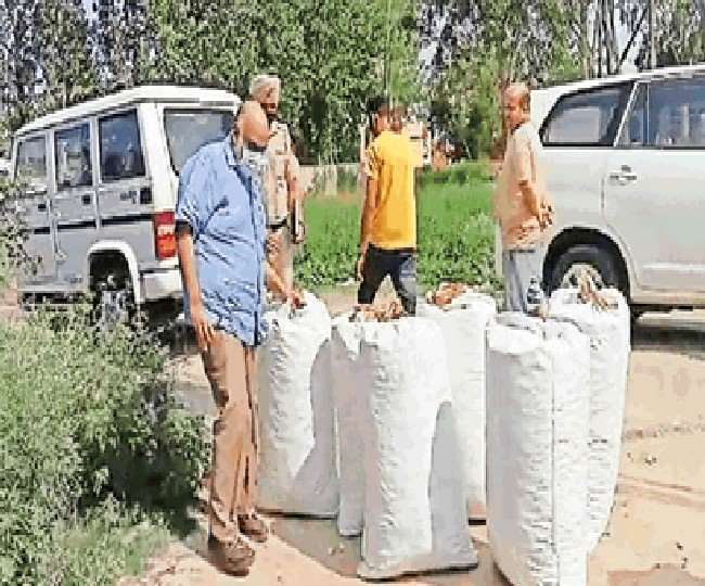 Illegal liquor factory case