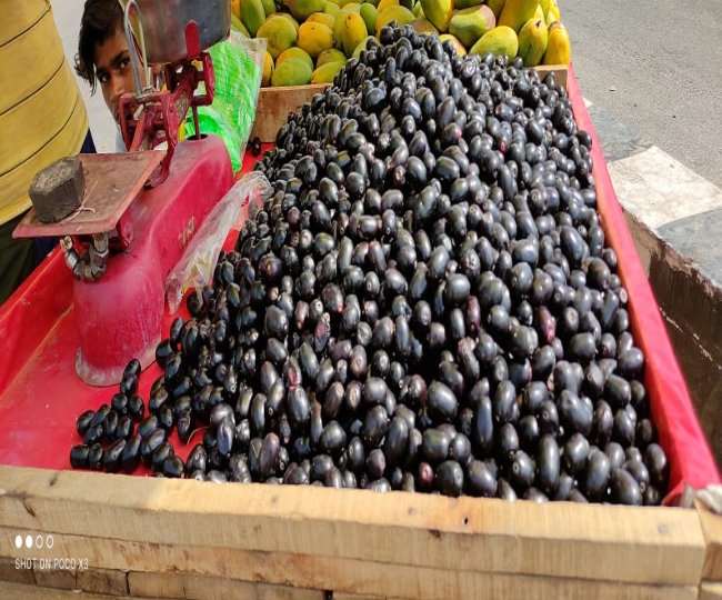 https://www.jagranimages.com/images/newimg/30062021/30_06_2021-black-berries_21785690.jpg