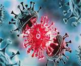 Cytomegalovirus Infection: कोरोना से उबरे लोगों में मिला साइटोमेगालो संक्रमण