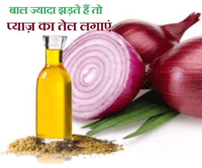 Onion Oil Benefits: झड़ते बालों से हैं परेशान, तो ऐसे करें प्याज़ का तेल  तैयार - how you can make onion oil at home to control hair fall know the  recipe