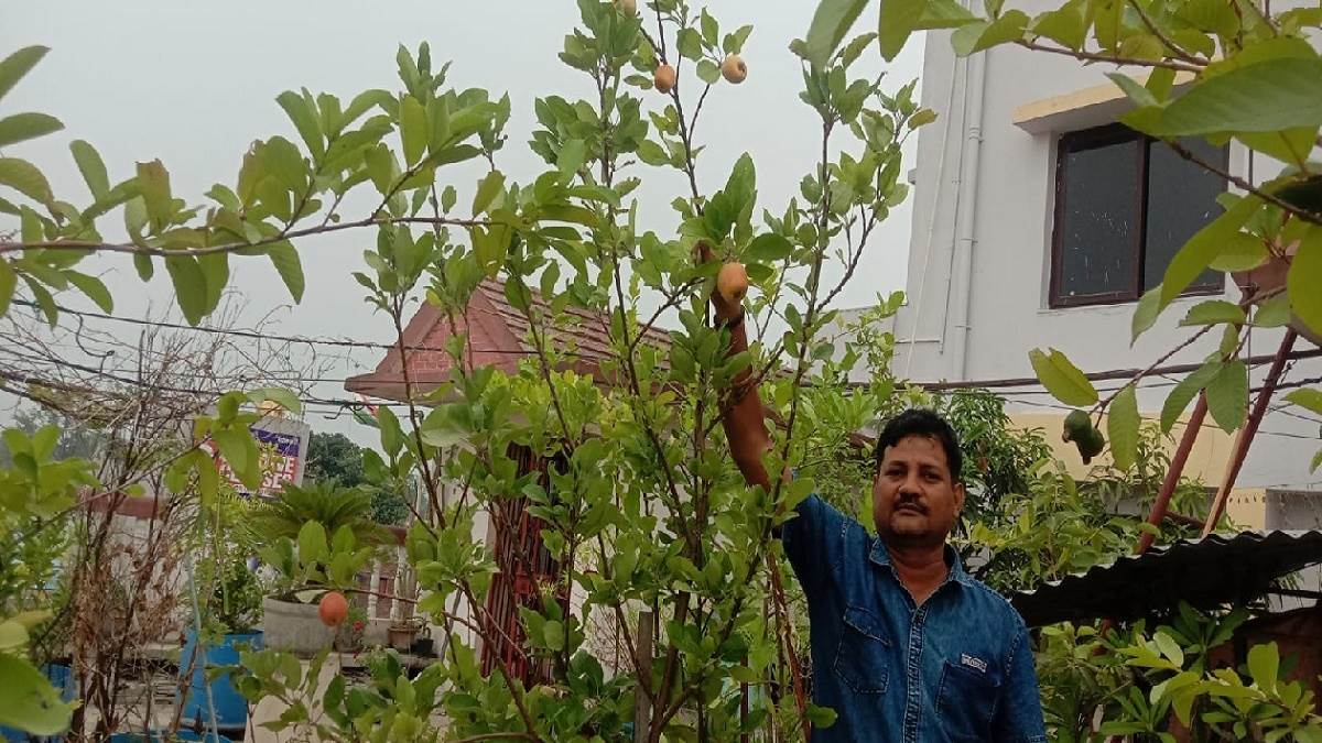 बीते दस सालों से सचिन व अनिशा अपनी छत पर मनचाहे फल फूल सब्जी उगा रहे। फोटो- जागरण