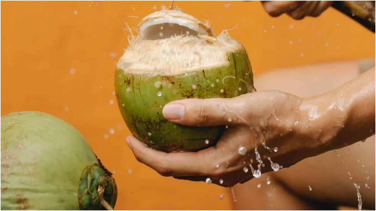 Coconut Water Benefits इस वक्त पिएंगे नारियल पानी, तो मिलेंगे सबसे