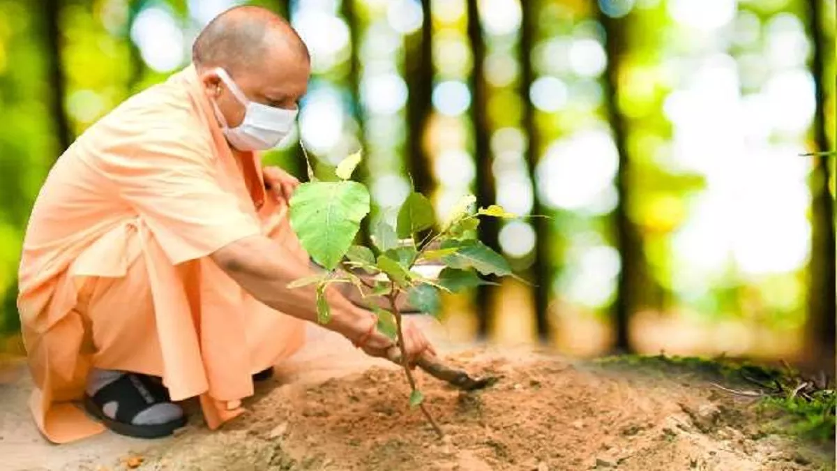 योगी आद‍ित्‍यनाथ सरकार पांच जुलाई से शुरू करेगी 35 करोड़ पौधारोपण अभियान, 15 अगस्त के दिन अमृत वनों की होगी स्थापना