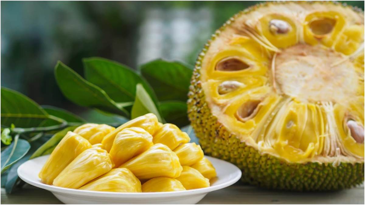 why jackfruit is considered healthy for diabetic patients