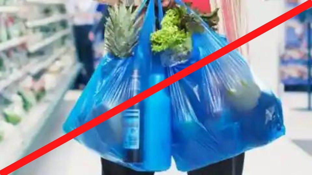 Single Use Plastic Ban: कल से 'सिंगल यूज प्लास्टिक' बैन।