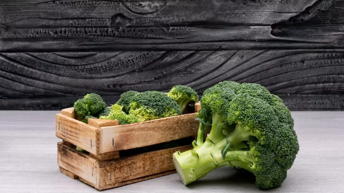 Broccoli  Benefits: पाचन शक्ति बढ़ाने से लेकर वजन कम करने तक,रोजाना ब्रोकली खाने के हैं शानदार फायदे