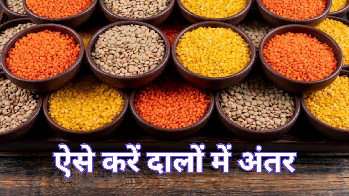 https://www.jagranimages.com/images/newimg/30062023/30_06_2023-daal_23456783.jpg