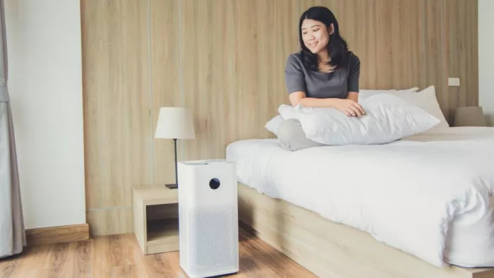 Indoor Air Pollution: घर के अंदर की हवा को कैसे बनाएं साफ