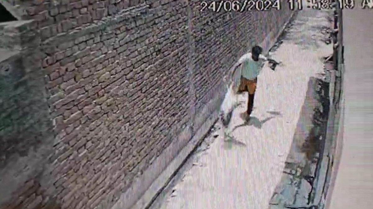 pet dog killed in agra record in cctv footage