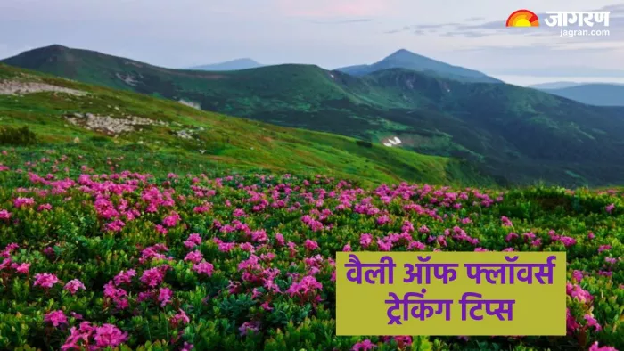 वैली ऑफ फ्लॉवर्स ट्रेकिंग से जुड़ी जरूरी बातें (Pic credit- freepik)