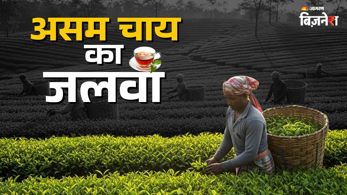 https://www.jagranimages.com/images/newimg/30062025/30_06_2025-assam-tea_23971658.jpg