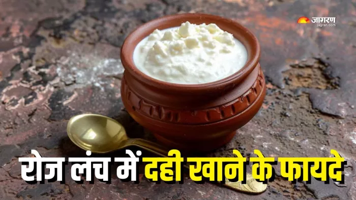 क्या होगा अगर रोज खाएंगे एक कटोरी दही (Picture Courtesy: Freepik)