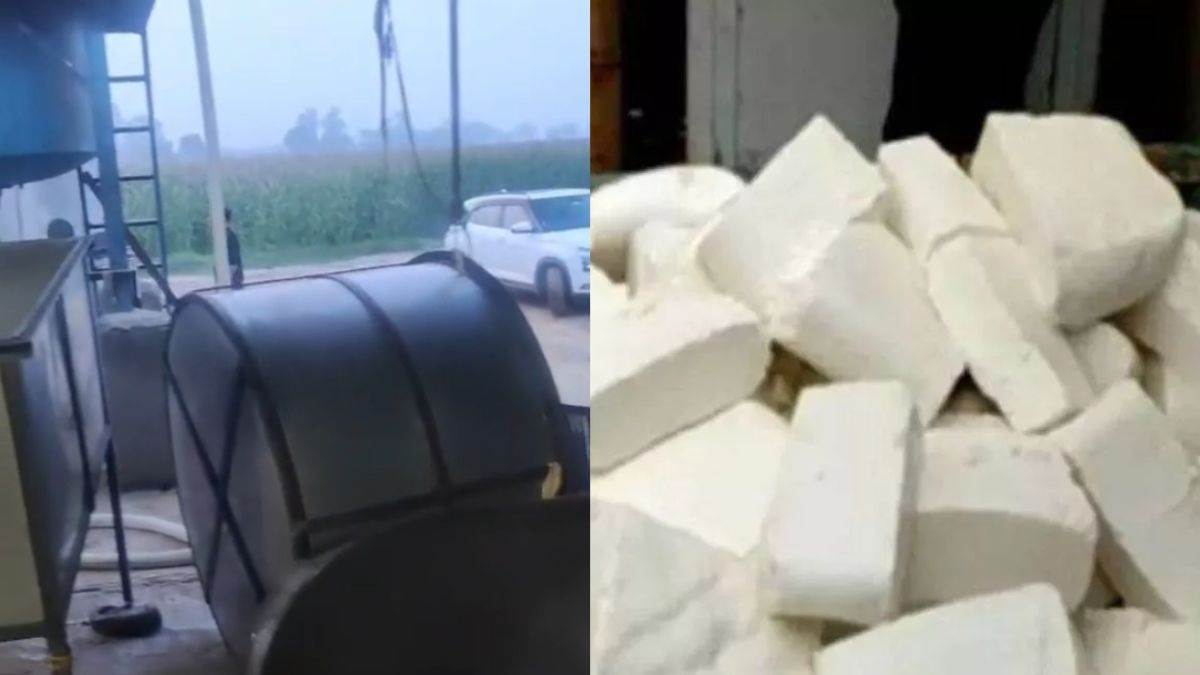 https://www.jagranimages.com/images/newimg/30062025/30_06_2025-fake_paneer_23971169.jpg
