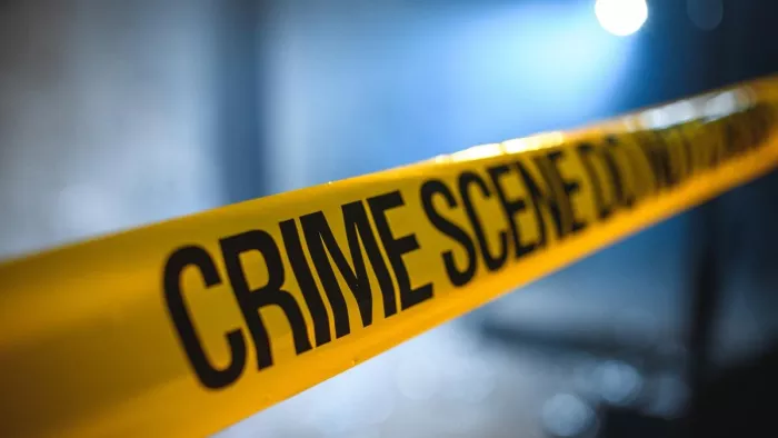 पुलिस की जांच में पता चला कि महिला की हत्या उसके लिव-इन-पार्टनर ने की थी।