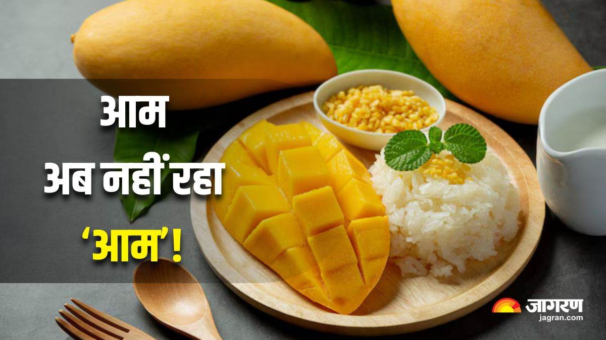 https://www.jagranimages.com/images/newimg/30062025/30_06_2025-mango_savory_recipes_23971539.jpg