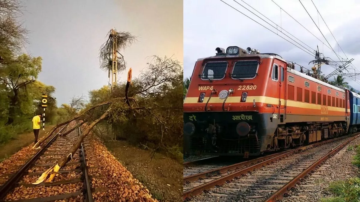 Haryana News: रेलवे ट्रैक पर अचानक गिरे 10 पेड़, तेज रफ्तार ट्रेन की लगानी पड़ी इमरजेंसी ब्रेक; यात्रियों की फूली सांस
