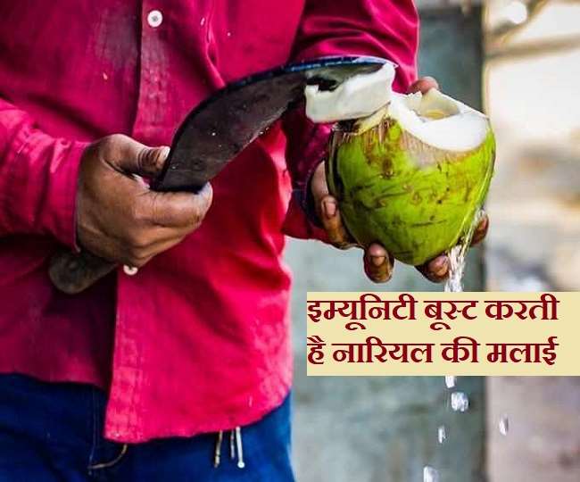 Coconut cream benefits नारियल पानी पीकर उसकी मलाई फेंकने की आदत है तो