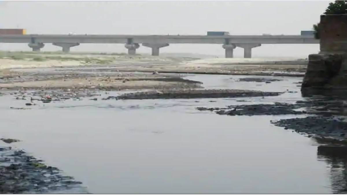 News Article Hero Image