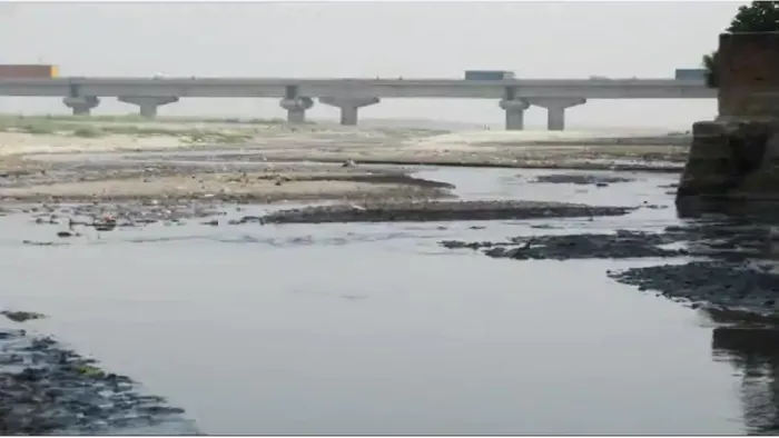 Polluted Water In River Ganga : गंगा नदी में छोटे-बड़े कुल 301 नाले मिलते हैं
