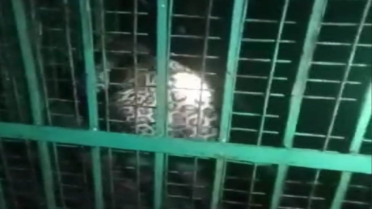 https://www.jagranimages.com/images/newimg/30072022/30_07_2022-leopard_trapped_in_cage_22939599.jpg