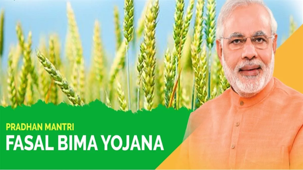 Pradhan Mantri Fasal Bima Yojana: खरीफ की फसलों का बीमा कराना है तो कल तक का है आपके पास मौका - July 31 is the last date to insure Kharif crops under