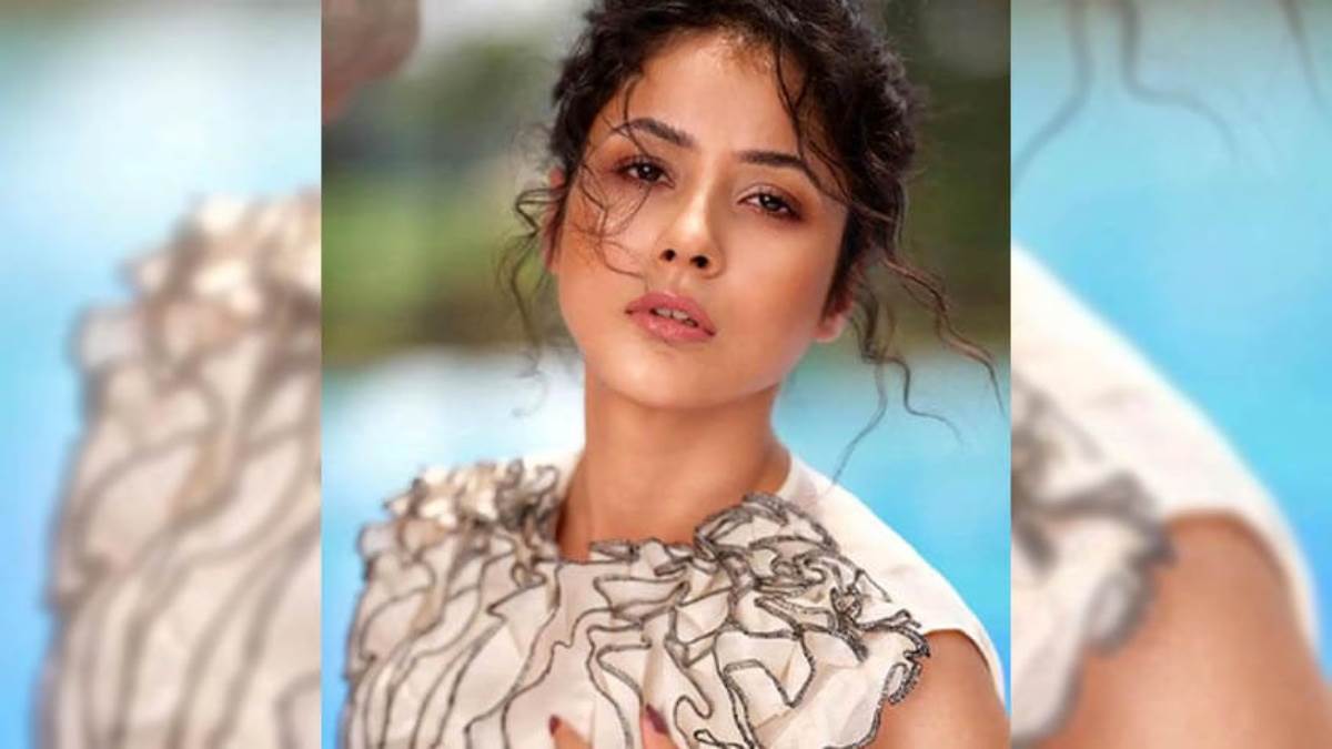 Actress Shahnaz Gill wants to get married