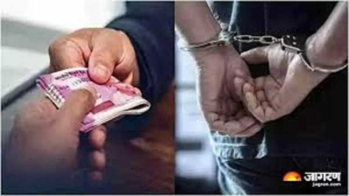 Jharkhand News: 24 साल पहले ली थी रिश्वत, रिटायरमेंट के बाद चतरा के पूर्व सीओ राजबल्लभ सिंह को हुई तीन साल की सजा