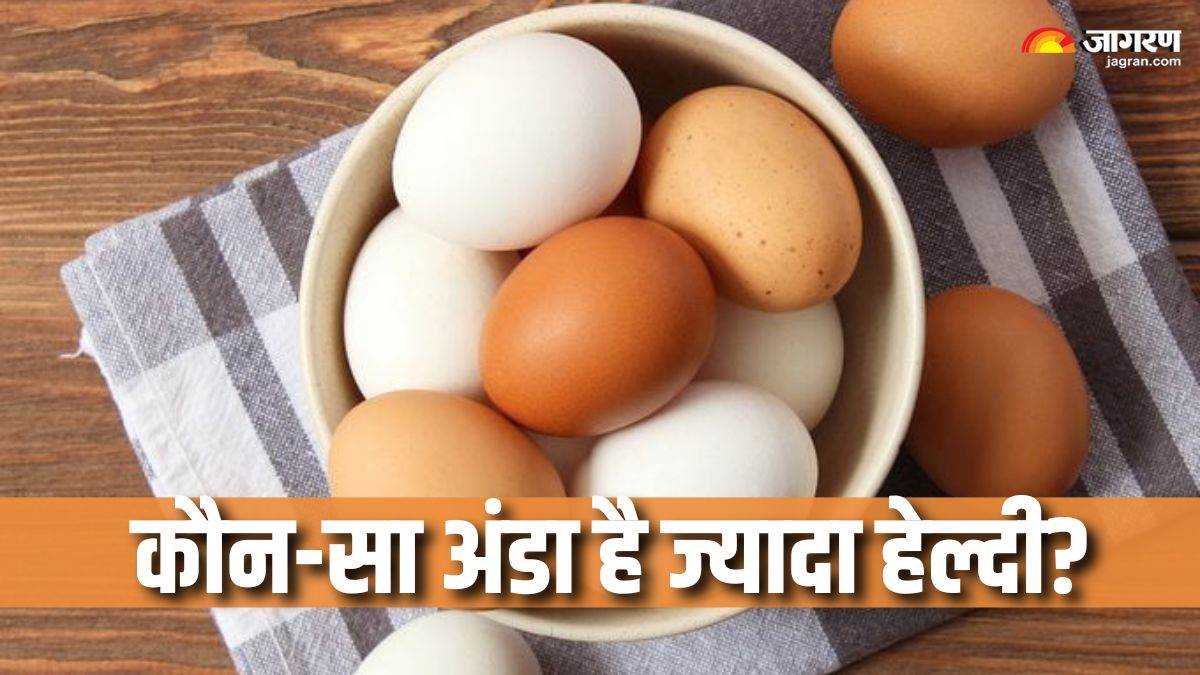 https://www.jagranimages.com/images/newimg/30072025/30_07_2025-brown_vs_white_egg_23998722.jpg