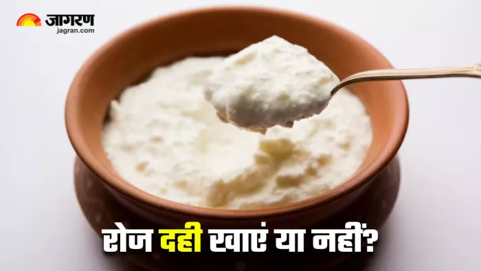 क्या रोजाना दही खाने से हो सकते हैं नुकसान? (Image Source: Freepik)