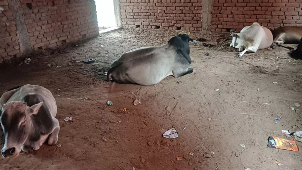 एक टीचर और एक रूम के भरोसे है पांचवीं तक का स्कूल, जानवरों से करनी पड़ती है बच्चों की रखवाली
