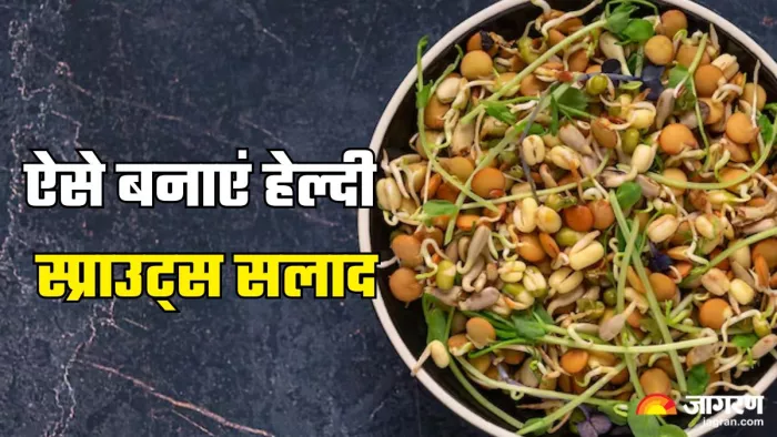 नाश्ते में बनाएं टेस्टी स्प्राउट्स सलाद (Picture Credit- Freepik)