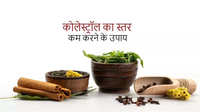High Cholesterol: घरेलू उपायों की मदद से करें हाई कोलेस्ट्रॉस के स्तर को मैनेज