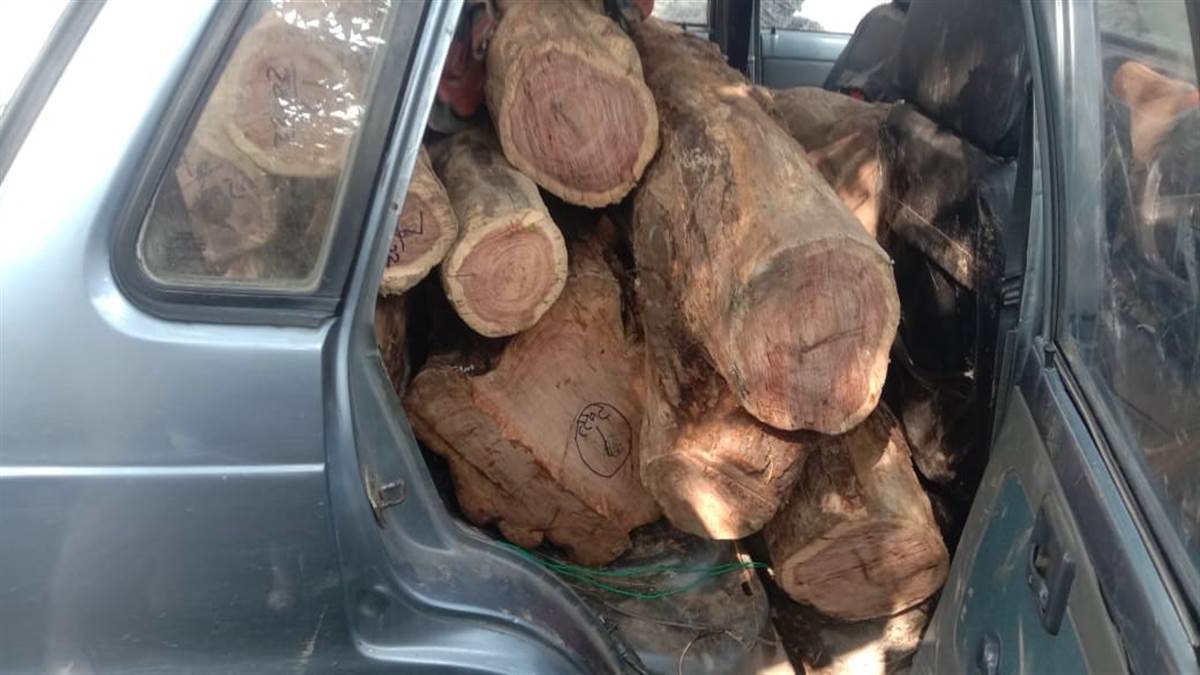 himachal pradesh una news forest mafia smuggling khair wood in maruti car at samurkalan una