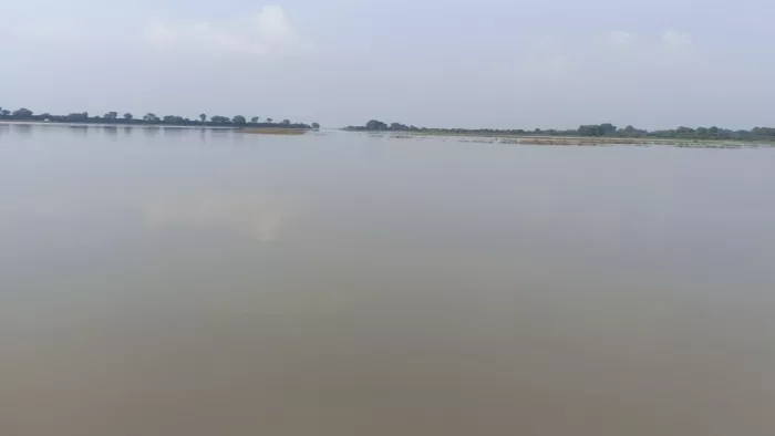 भोजपुर में मंडराया बाढ़ का खतरा (जागरण)