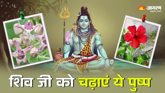 Bhadrapad Pradosh Vrat 2024: शिव जी को चढ़ाएं ये पुष्प।