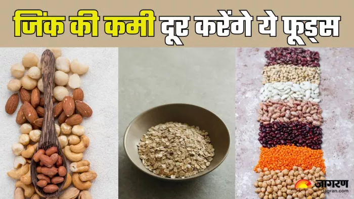 इन फूड्स से करें जिंक की कमी दूर (Picture Credit- Freepik)