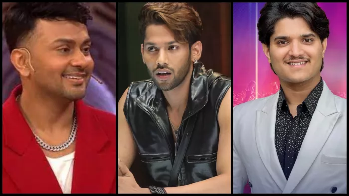 बिग बॉस 19 में इस कंटेस्टेंट को हुआ प्यार/ फोटो- Instagram