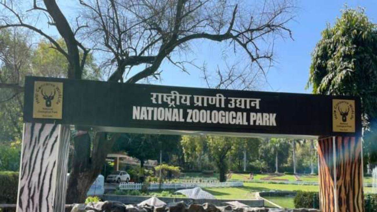 https://www.jagranimages.com/images/newimg/30082025/30_08_2025-delhi_zoo_24029772.jpg