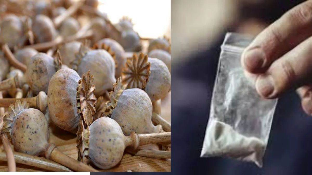 https://www.jagranimages.com/images/newimg/30082025/30_08_2025-drug_smuggling__24029765.jpg