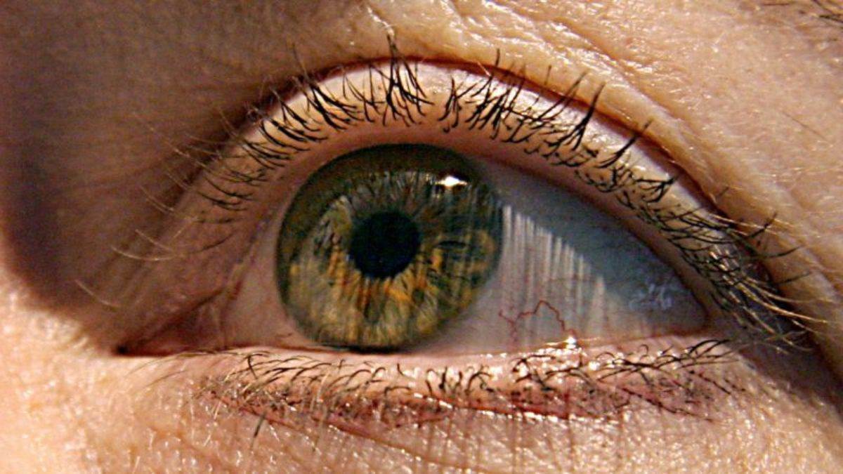 https://www.jagranimages.com/images/newimg/30082025/30_08_2025-eye_symptoms_on_alzhiemers_1_24029760.jpg