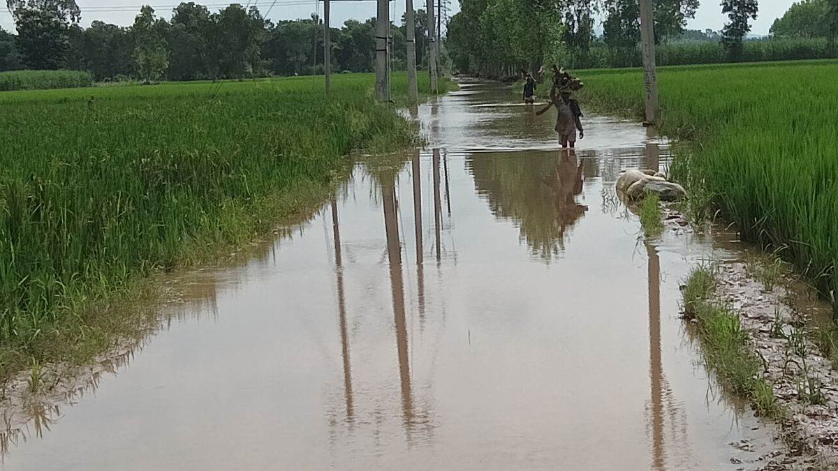 https://www.jagranimages.com/images/newimg/30082025/30_08_2025-flood_10_24030183.jpg