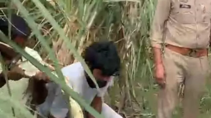 ईख के खेत में मिला अजगर, किसान के उड़े होश