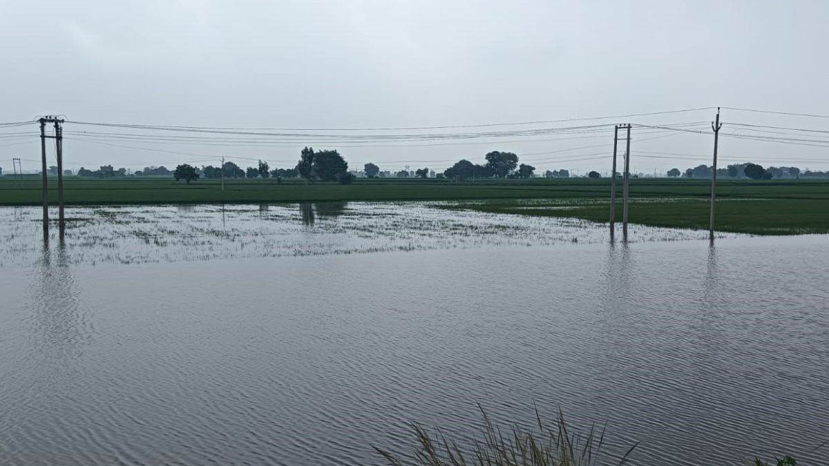 https://www.jagranimages.com/images/newimg/30082025/30_08_2025-haryana_flood_1_24029970.jpg